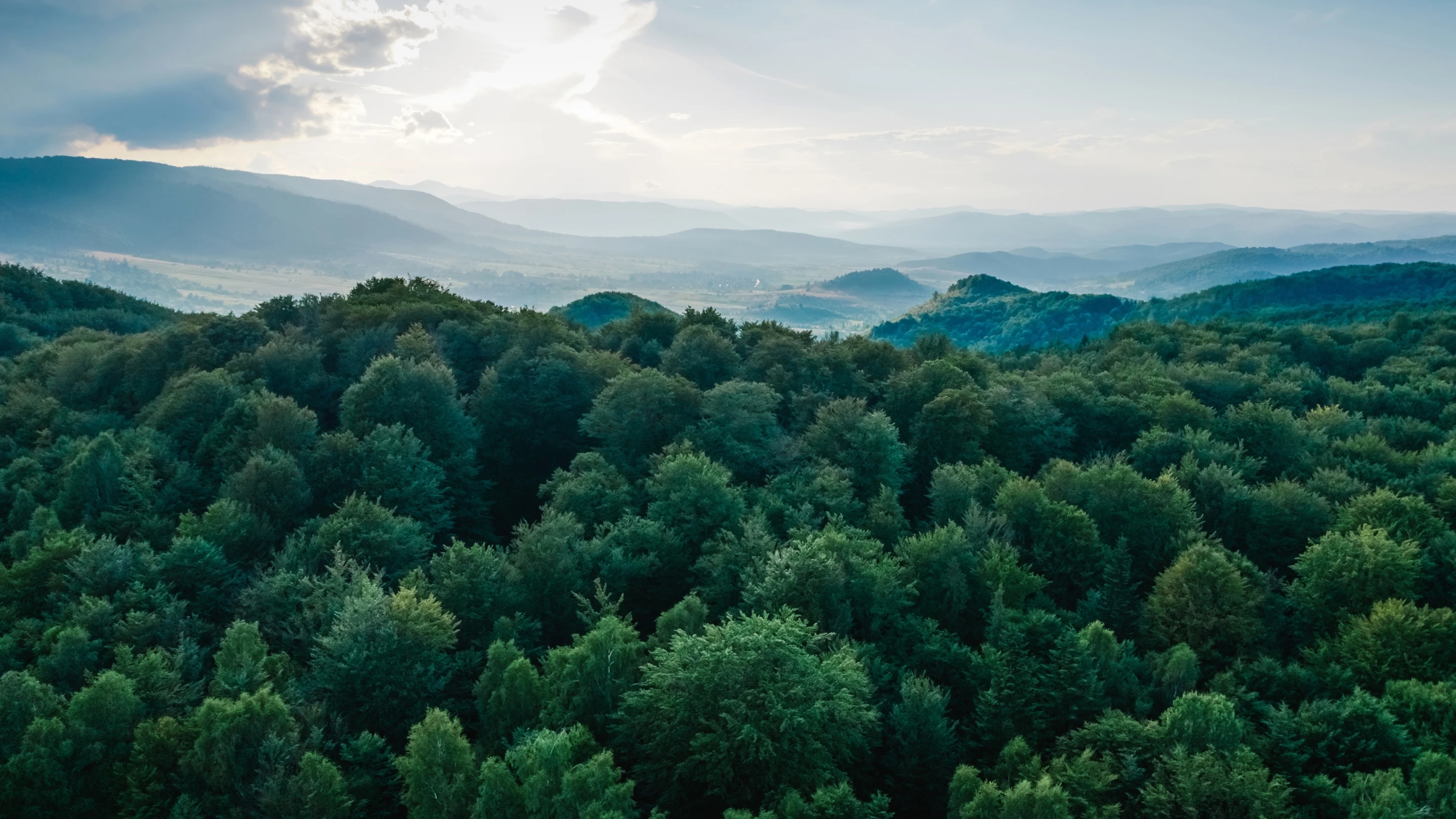 サステナビリティ背景